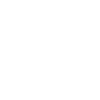 option icon